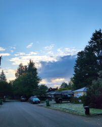 Debra's neighborhood in Seatlle