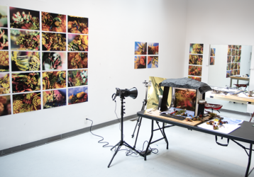 studio at Banff Center residency, 2024