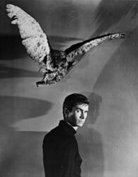 Psycho, Anthony Perkins publicity still