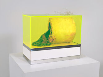 Paul Thek, Untitled (from the series Technological Reliquaries), 1965–1966. Wax, synthetic resin, and painted sculpture housed inside a yellow Plexiglas vitrine