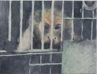 Lucien Smith, Monkey in a Cage