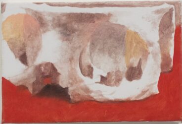 lucien smith, skull segment, 2015
