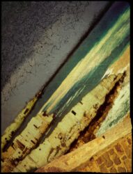 2014 Sea Saw_Houses